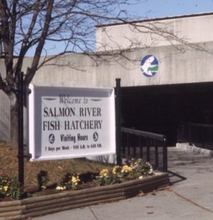 Salmon River Sign